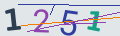 verifycode